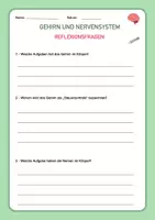 Vorschau - Stundenentwürfe - Gehirn & Nervensystem - Biologie & Sachunterricht - 90 Min. Einheit - Seite 2