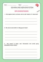 Vorschau - Stundenentwürfe - Gehirn & Nervensystem - Biologie & Sachunterricht - 90 Min. Einheit - Seite 3