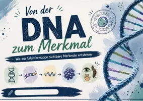 Vorschau - Interaktives Material - Von der DNA zum Merkmal – Digitales Material zur Genetik verständlich erklärt - Seite 1