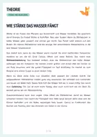 Vorschau - Arbeitsblätter - Stärkeverkleisterung und Gelbildung - Arbeitsblätter + Versuch - Seite 2