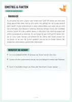 Vorschau - Arbeitsblätter - Versteckter Zucker in Lebensmitteln – Arbeitsblätter - Seite 1