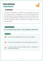 Vorschau - Arbeitsblätter - Versteckter Zucker in Lebensmitteln – Arbeitsblätter - Seite 3
