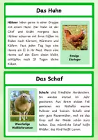 Vorschau - Arbeitsblätter - Bauernhoftiere – liebevoll gestaltete Informationskarten für den Sachunterricht - Seite 2
