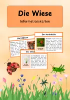 Vorschau - Arbeitsblätter - Die Wiese – liebevoll gestaltete Informationskarten zu Pflanzen & Tieren - Deckblatt