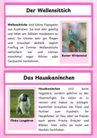 Vorschau - Arbeitsblätter - Haustiere – liebevoll gestaltete Informationskarten für den Sachunterricht - Seite 3