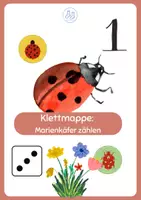 Vorschau - Stationenlernen - Klettmappe Marienkäfer zählen - Deckblatt