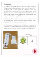Vorschau - Spiele - Silbenpiloten legen - Einsilbige Wörter (Karibu Lehrwerk) - Seite 1