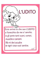 anteprima - Esercizi - Scienze, il Senso dell' Udito - Pagina 1
