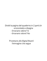 anteprima - Esercizi - Scienze, il Senso dell' Olfatto - Pagina 2