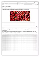 Vorschau - Test - Matheprobe - Diagramme, schätzen, addieren - Deckblatt