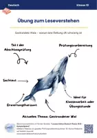 Vorschau - Arbeitsblätter - Prüfungsvorbereitung Leseverstehen - Gestrandete Wale - Deckblatt