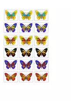Vorschau - Fördermaterial/Inklusion - Klettmappe Schmetterling 1:1 - Seite 3