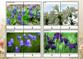 Vorschau - Arbeitsblätter - Frühlingsblumen – Lernpaket | Arbeitsblätter & Puzzle - Seite 3
