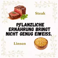 Vorschau - Arbeitsblätter - Materialpaket - Pflanzliche Ernährung (vegan & vegetarisch) - Seite 1