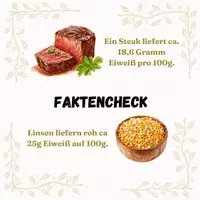 Vorschau - Arbeitsblätter - Materialpaket - Pflanzliche Ernährung (vegan & vegetarisch) - Seite 2
