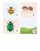 Vorschau - Spiele - Lesespaziergang Insekten - Seite 3