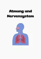 Vorschau - Arbeitsblätter - Atmung & Nervensystem – Verstehen,Anwenden,zur Ruhe kommen - Seite 3