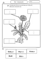Vorschau - Stundenentwürfe - Löwenzahn Arbeitsheft, Lernstation, Klasse 1, 2, Förderschule (differenziert) - Seite 3