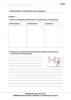 Vorschau - Arbeitsblätter - Strukturwandel - Arbeitsblätter mit Lösungen - Seite 3