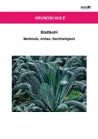 Vorschau - Arbeitsblätter - Blattkohl - Arbeitsblätter mit Lösungen - Deckblatt