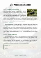 Vorschau - Arbeitsblätter - Alpensalamander Steckbrief Grundschule Sachunterricht Klasse 1-4 - Seite 1
