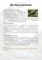 Vorschau - Arbeitsblätter - Alpensalamander Steckbrief Grundschule Sachunterricht Klasse 1-4 - Seite 2