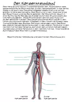 Vorschau - Arbeitsblätter - Der Blutkreislauf des Menschen (Arbeitsblätter) - Seite 3