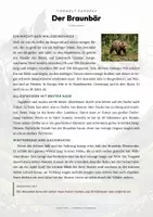Vorschau - Arbeitsblätter - Tiere im Winter & Winterschlaf – 29 Tier-Steckbriefe – Sachunterricht Grundschule – Materialpaket - Seite 2