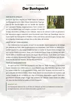Vorschau - Arbeitsblätter - Buntspecht Steckbrief Grundschule Sachunterricht Klasse 3-4 - Seite 1