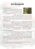 Vorschau - Arbeitsblätter - Buntspecht Steckbrief Grundschule Sachunterricht Klasse 3-4 - Seite 2