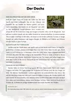Vorschau - Arbeitsblätter - Dachs Steckbrief Grundschule Sachunterricht Klasse 3-4 - Seite 1