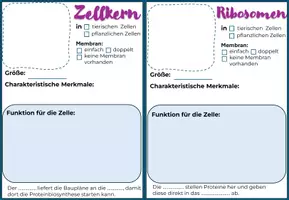 Vorschau - Stundenentwürfe - Materialpaket: EM-Bild der Zelle mit Stundenentwurf und interaktivem Quiz- Ready to Go - Seite 1
