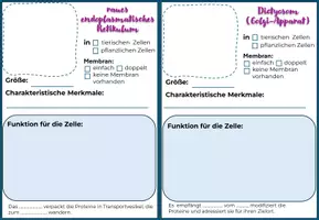 Vorschau - Stundenentwürfe - Materialpaket: EM-Bild der Zelle mit Stundenentwurf und interaktivem Quiz- Ready to Go - Seite 2
