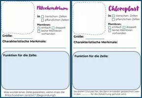 Vorschau - Stundenentwürfe - Materialpaket: EM-Bild der Zelle mit Stundenentwurf und interaktivem Quiz- Ready to Go - Seite 3