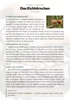 Vorschau - Arbeitsblätter - Eichhörnchen Steckbrief – Tiere Europas | Sachunterricht Grundschule Arbeitsblatt - Seite 1