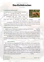 Vorschau - Arbeitsblätter - Eichhörnchen Steckbrief – Tiere Europas | Sachunterricht Grundschule Arbeitsblatt - Seite 2