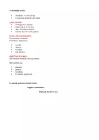 anteprima - Altro tipo di materiale - Le parole che contano Percorso di pensiero, parola e libertà per la scuola primaria - Pagina 2
