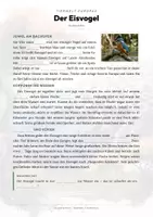 Vorschau - Arbeitsblätter - Eisvogel Steckbrief – Tiere Europas | Sachunterricht Grundschule Arbeitsblatt - Seite 2