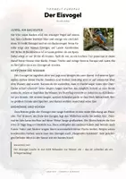 Vorschau - Arbeitsblätter - Eisvogel Steckbrief – Tiere Europas | Sachunterricht Grundschule Arbeitsblatt - Seite 1
