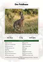 Vorschau - Arbeitsblätter - Tiere Norwegen – 20 Steckbriefe – Sachunterricht Grundschule – Materialpaket - Seite 1