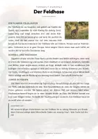 Vorschau - Arbeitsblätter - Tiere Norwegen – 20 Steckbriefe – Sachunterricht Grundschule – Materialpaket - Seite 2