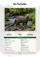 Vorschau - Arbeitsblätter - Fischotter Steckbrief – Tiere Europas | Sachunterricht Grundschule Arbeitsblatt - Deckblatt