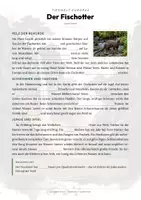 Vorschau - Arbeitsblätter - Fischotter Steckbrief – Tiere Europas | Sachunterricht Grundschule Arbeitsblatt - Seite 2