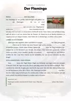 Vorschau - Arbeitsblätter - Tiere Europas – 50 Tier-Steckbriefe – Sachunterricht Grundschule – Materialpaket - Seite 3