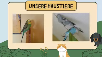 Vorschau - Unterrichtsreihen - Unterrichtsreihe zum Thema "Tierbeschreibung" - Seite 2