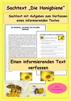 Vorschau - Stundenentwürfe - Sachtext "Die Honigbiene" - einen informierenden Text verfassen - Deckblatt