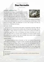 Vorschau - Arbeitsblätter - Hermelin Steckbrief – Tiere Europas | Sachunterricht Grundschule Arbeitsblatt - Seite 1