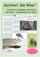 Vorschau - Stundenentwürfe - Der Biber - Sachtext - Informationstext - Leseverständnis - Textarbeit - Deckblatt