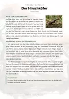 Vorschau - Arbeitsblätter - Hirschkäfer Steckbrief – Tiere Europas | Sachunterricht Grundschule Arbeitsblatt - Seite 1