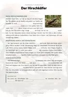 Vorschau - Arbeitsblätter - Hirschkäfer Steckbrief – Tiere Europas | Sachunterricht Grundschule Arbeitsblatt - Seite 2